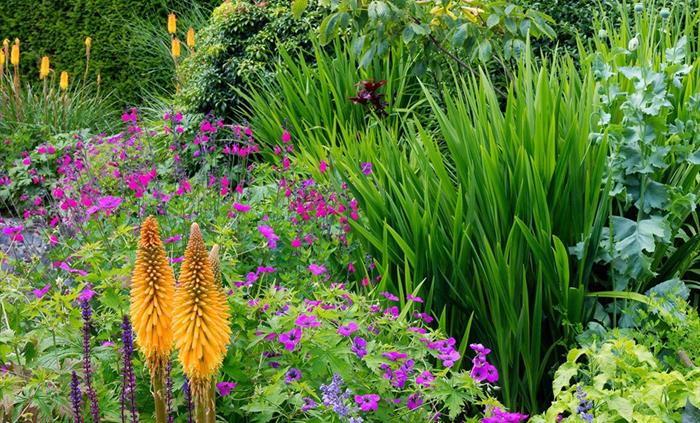 Sunken Garden